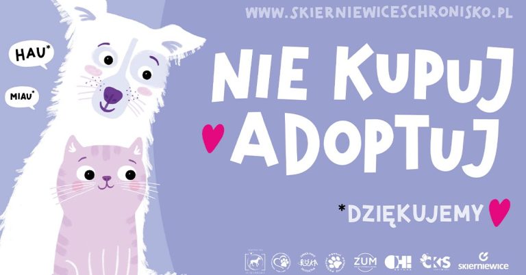 Nie kupuj, adoptuj – zbiórka na rzecz schroniska już 3 kwietnia