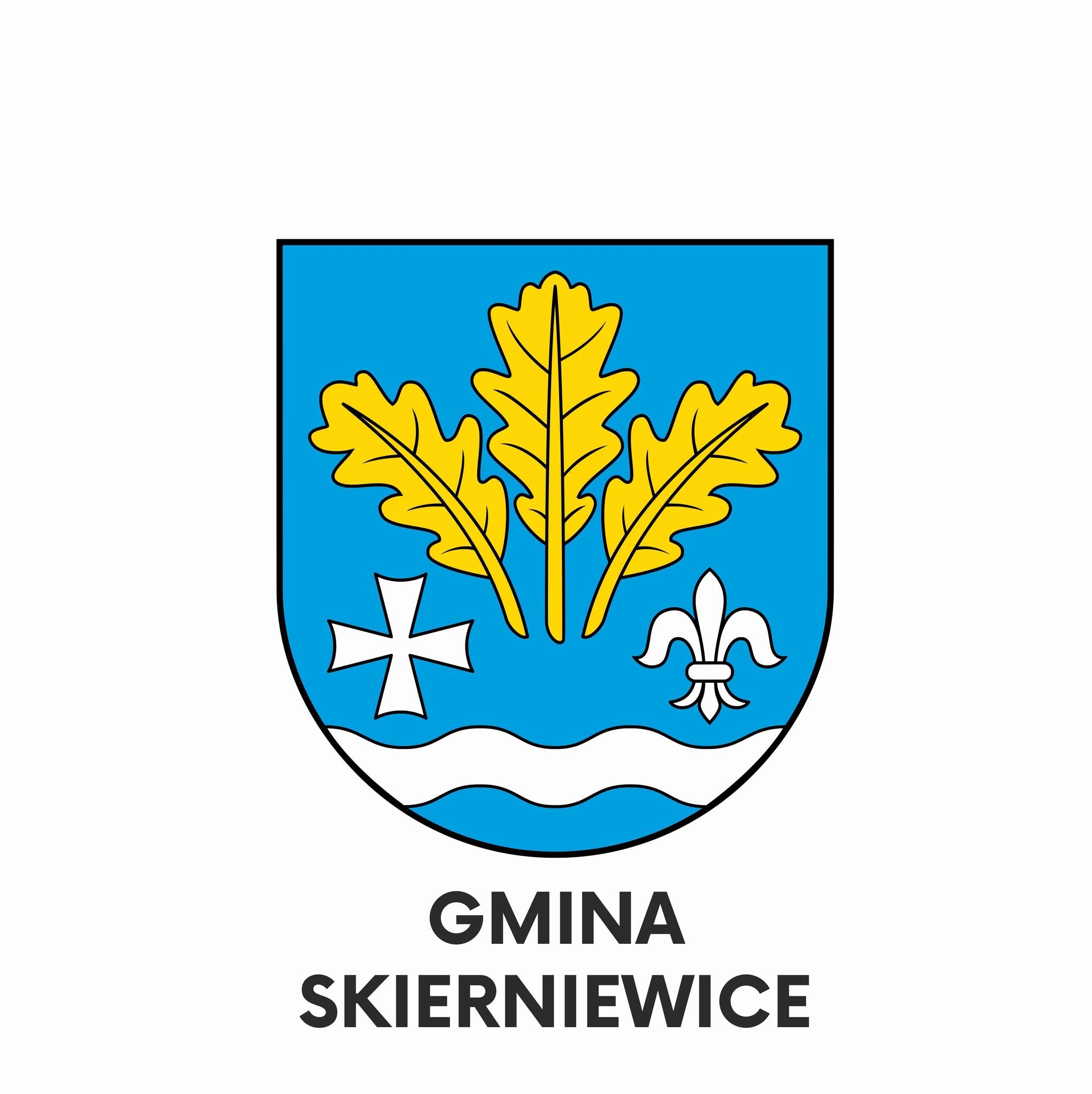Program samorządowy gminy Skierniewice